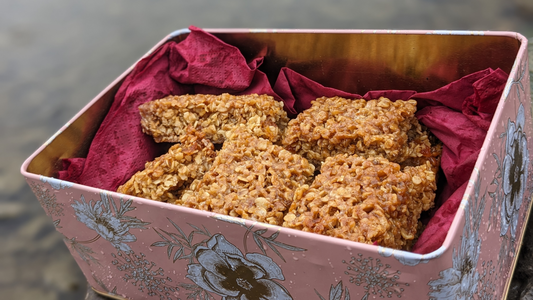 Apricot Flapjack